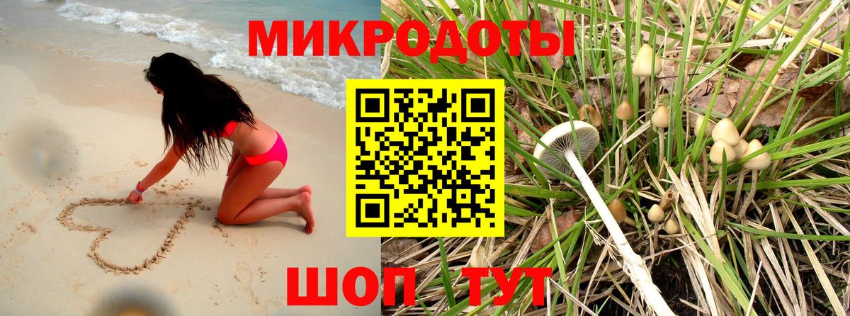 Псилоцибиновые грибы MAGIC MUSHROOMS Тосно