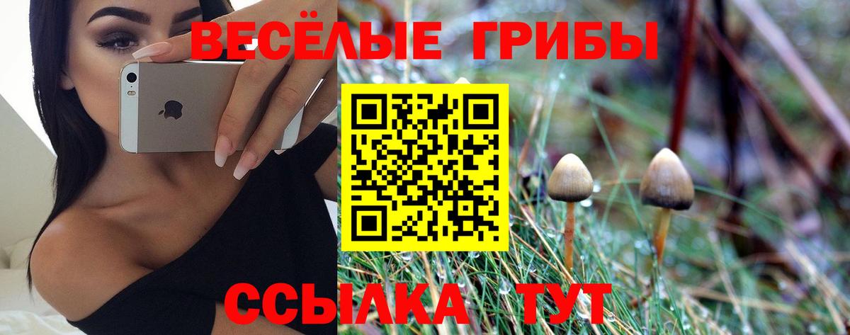 продажа наркотиков  Псилоцибиновые грибы мицелий  Вход с VPN  Псилоцибиновые грибы GOLDEN TEACHER  Тосно 