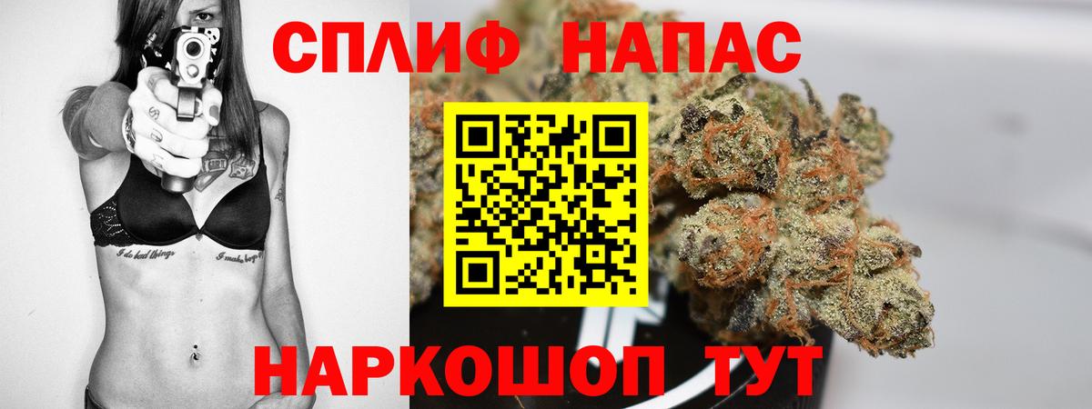 Тосно  Марихуана Amnesia  Бошки марихуана план  Бошки Шишки планчик  Вход с VPN  Бошки марихуана ГИДРОПОН 